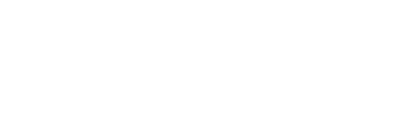 HSN Group Logo